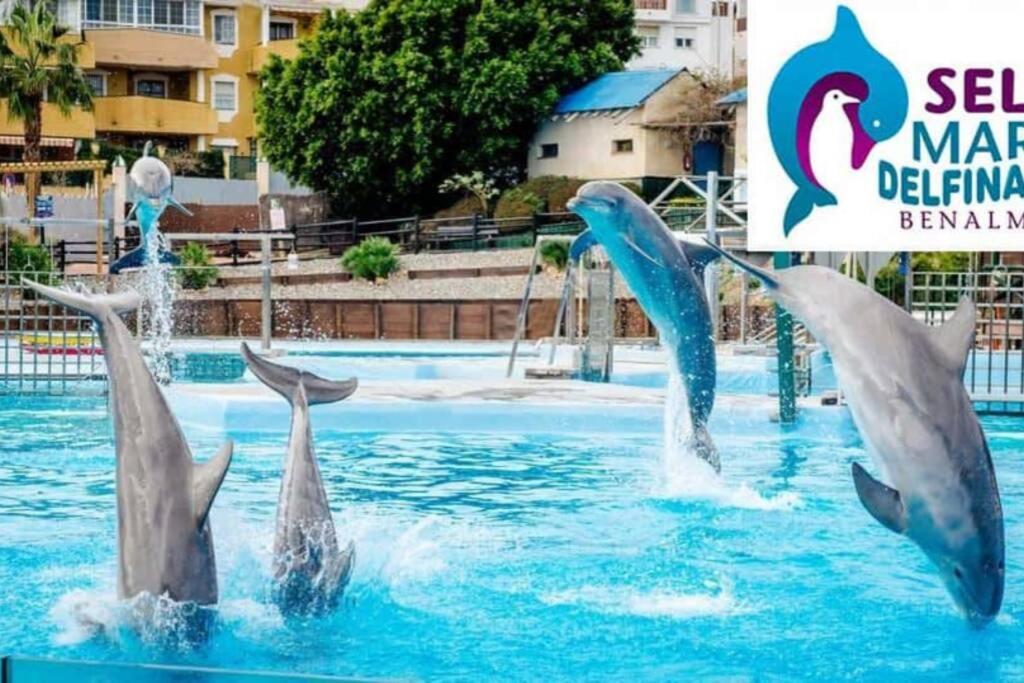 Modern Studio Near Beach. Sea, Pool And Wi-Fi Benalmadena Luaran gambar